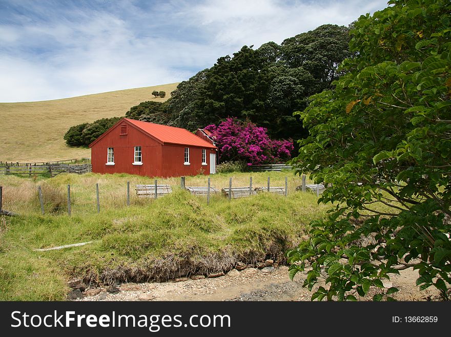 Red shed on beach, Bay of Islands, New Zealand
