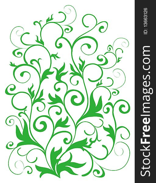 Drawing of green vines pattern in a white background