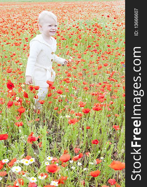 Little girl on summer meadow in blossom. Little girl on summer meadow in blossom