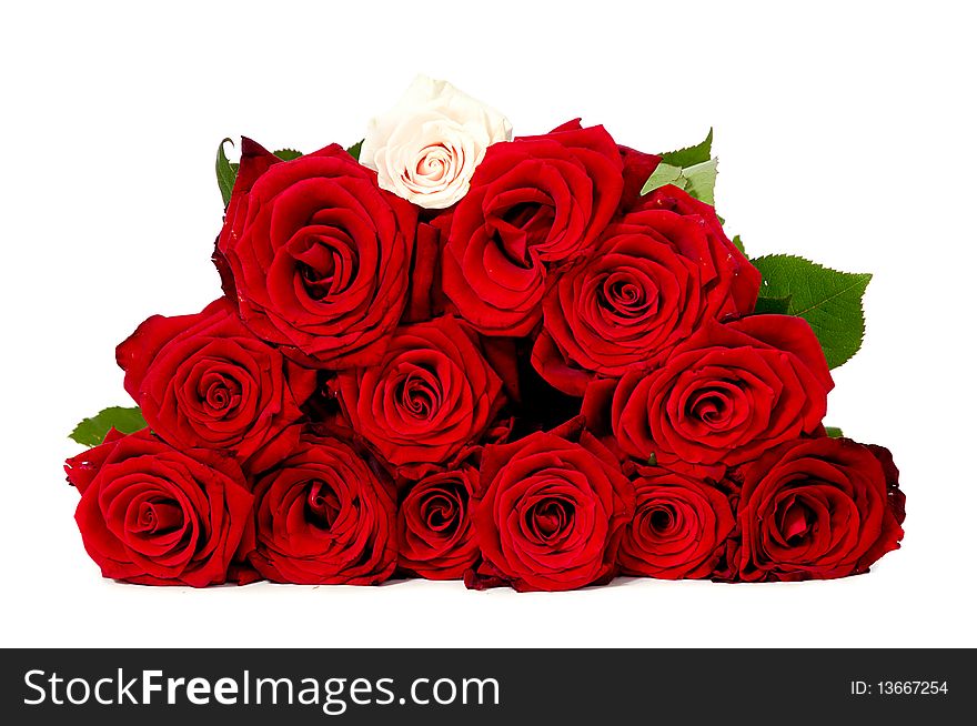 Bouquet of red roses. Taken on a white background. Bouquet of red roses. Taken on a white background.