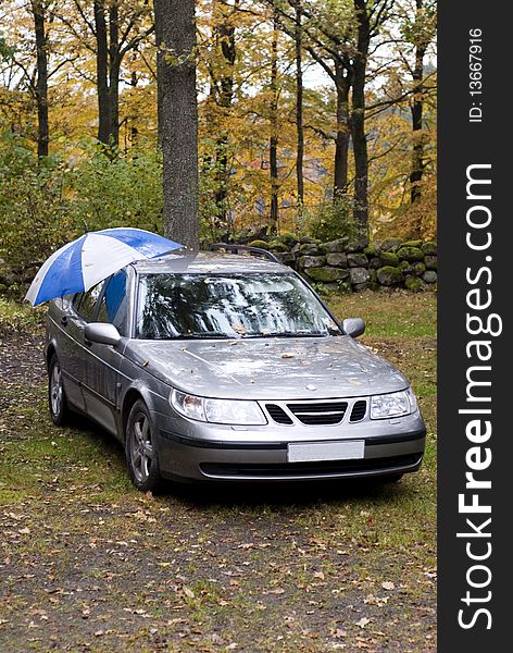 Portrait of car in forest topped with an umbrella. Portrait of car in forest topped with an umbrella