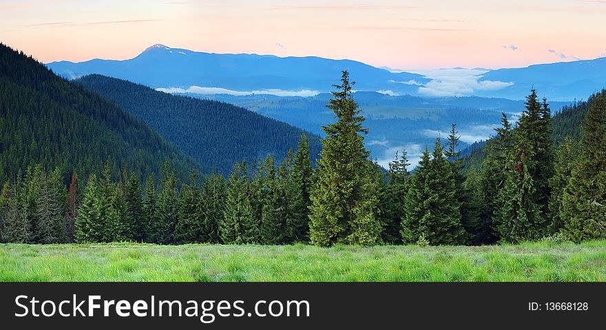 Summer morning in mountains. The picture is made in the Ukrainian Carpathians