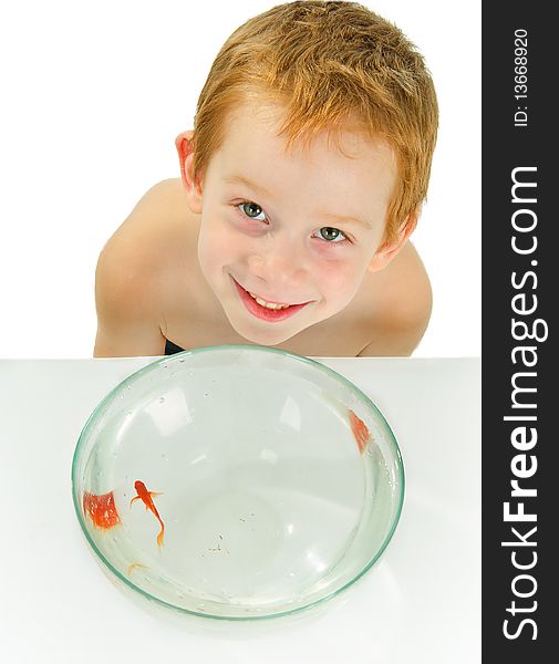 Red-haired boy catches a fish in the bowl with water in studio. Red-haired boy catches a fish in the bowl with water in studio