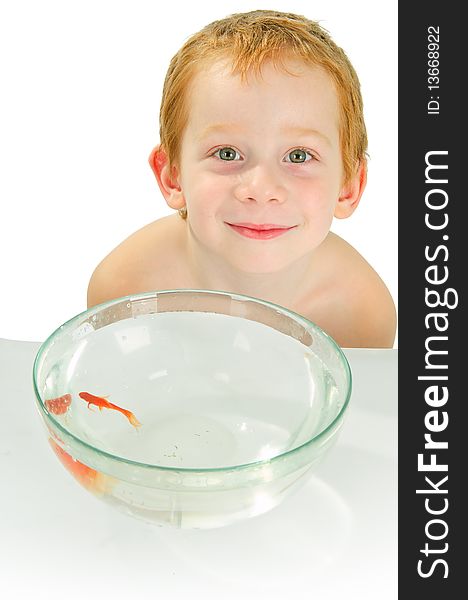 Red-haired boy catches a fish in the bowl with water in studio. Red-haired boy catches a fish in the bowl with water in studio