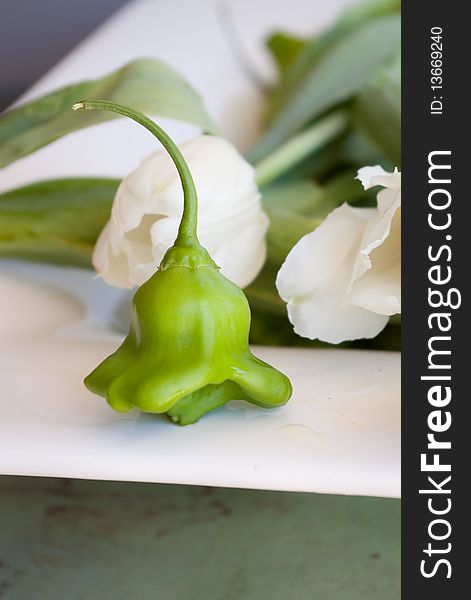 Peppers and tulips in a white rectangular bowl.