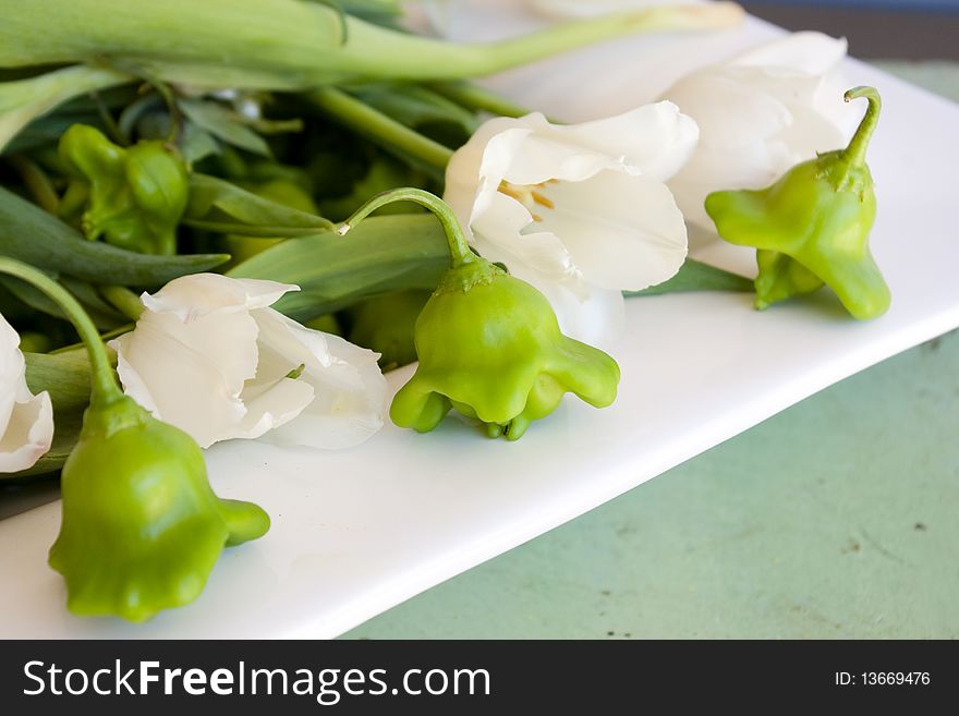 Peppers and tulips in a white rectangular bowl. Peppers and tulips in a white rectangular bowl.