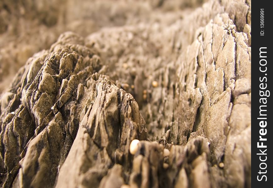 Close up abstract type shot of rocks on a beach. The lresult is a abtract alien looking landscape. Close up abstract type shot of rocks on a beach. The lresult is a abtract alien looking landscape