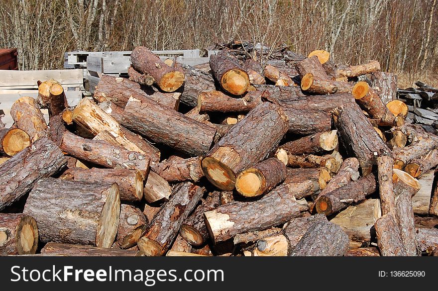Wood, Lumber, Logging, Tree