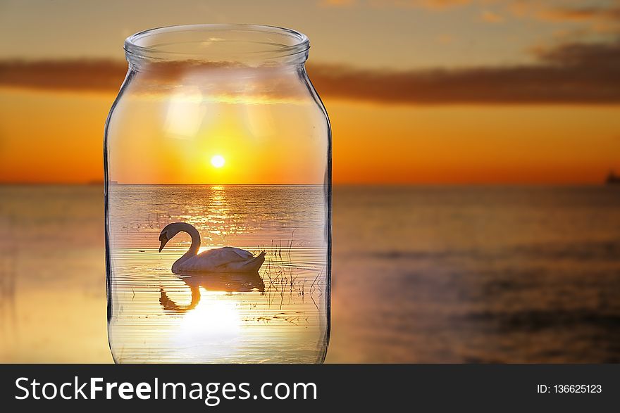 Reflection, Water, Sunset, Stock Photography