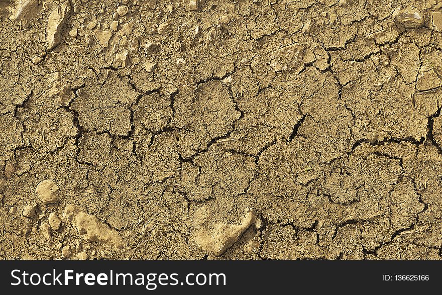 Soil, Drought, Tree, Geology