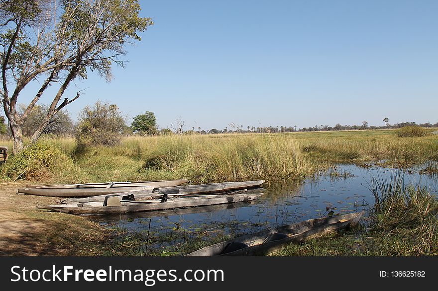 Waterway, Wetland, Ecosystem, Nature Reserve