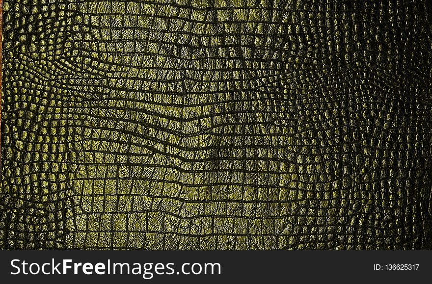 Pattern, Computer Wallpaper, Grass, Tree