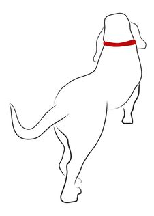 Walking Basset Hound From The Rear View Royalty Free Stock Photos Walking Basset Hound From The Rear View Royalty Free Stock Photos