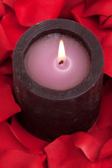 Candle And Rose Petals Royalty Free Stock Images