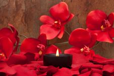 Candle And Rose Petals Royalty Free Stock Photography
