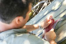 Man Cleaning A Fish Stock Images Man Cleaning A Fish Stock Images