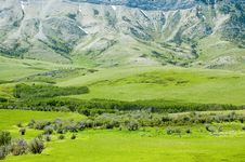 Mountain Meadow 1 Royalty Free Stock Images Mountain Meadow 1 Royalty Free Stock Images