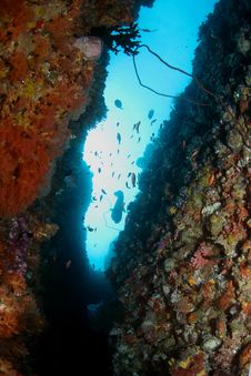 Underwater Cave Royalty Free Stock Photography Underwater Cave Royalty Free Stock Photography