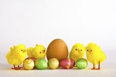 Egg With Chicks Royalty Free Stock Photos