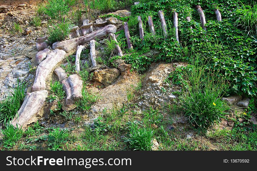 Artificial remains of a dinosaur. Park.