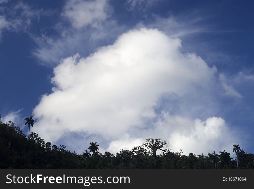 Rainforest with spectacular Caribbean skies in Escambray,  Cuba. Rainforest with spectacular Caribbean skies in Escambray,  Cuba