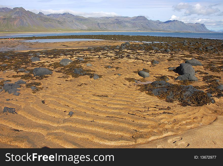 Yellow sand in fjord, Iceland.