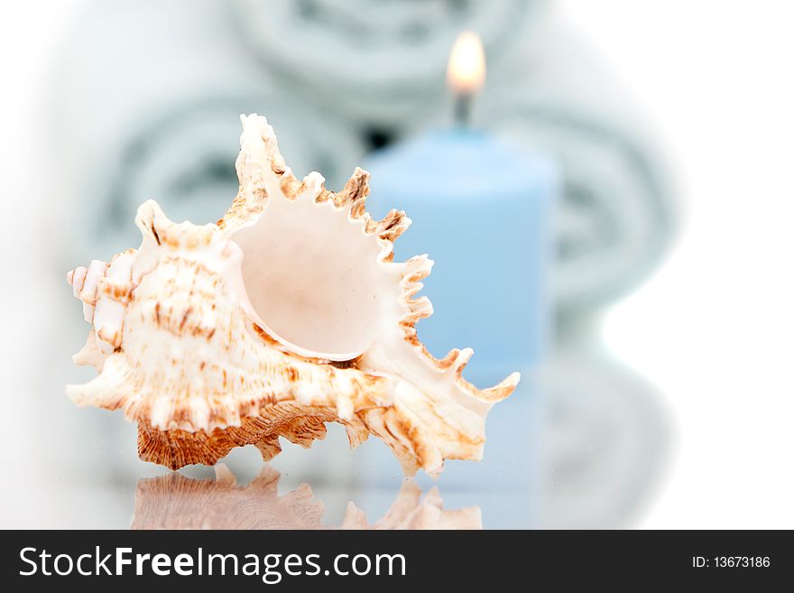 Seashell And Candle