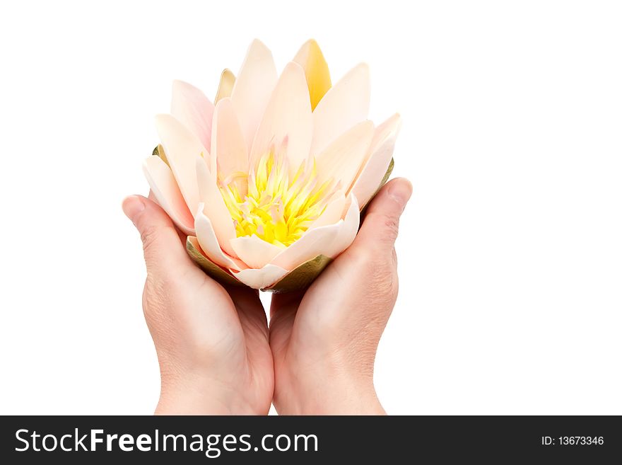 Woman holding a waterlily with her hands. Woman holding a waterlily with her hands