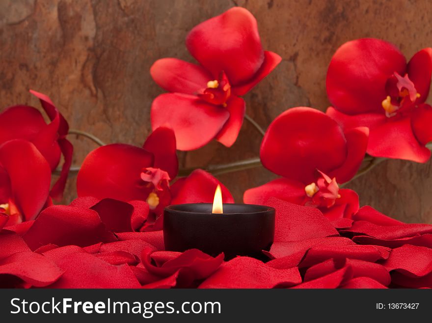 Candle surrounded with red rose petals and orchid. Candle surrounded with red rose petals and orchid