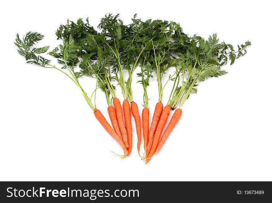 Bunch of fresh organic carrots on white background