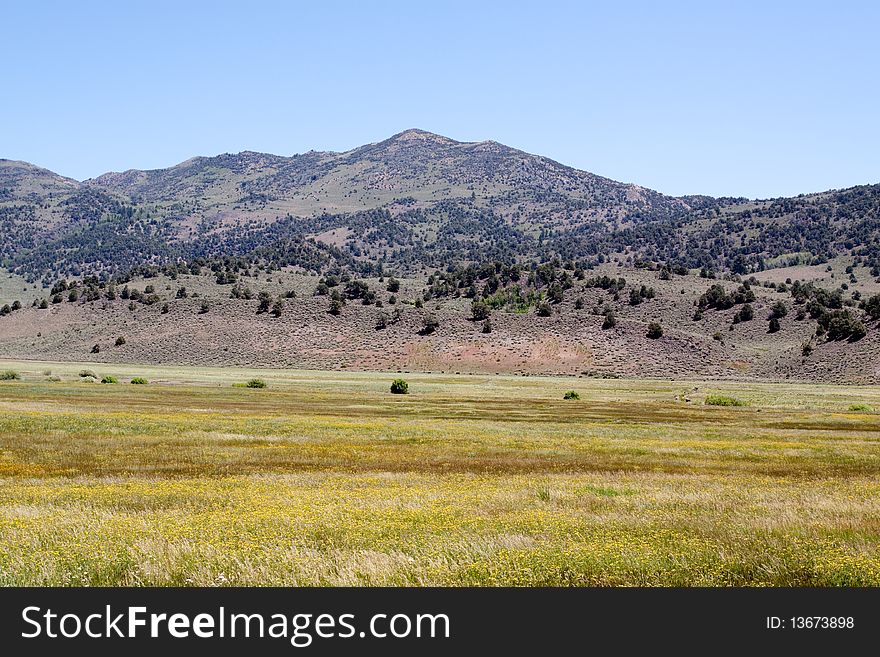 Open agricultural field in California. Open agricultural field in California
