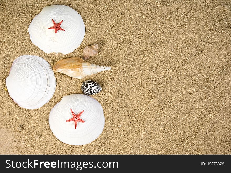 Starfish and seashells on sand