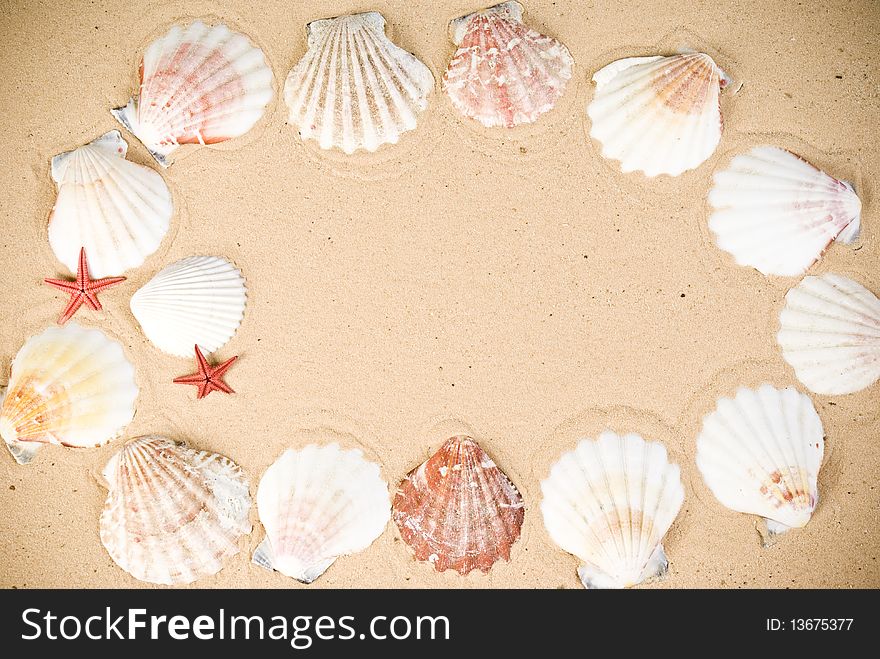 Starfish and seashells on sand