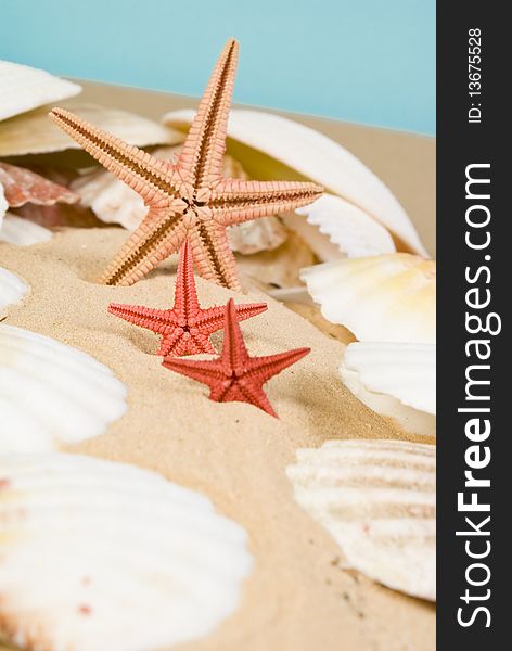 Starfish and seashells on sand