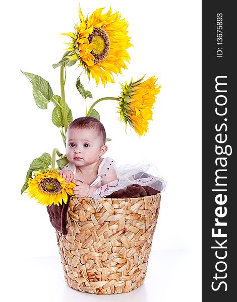 Baby girl in sunflowers on white