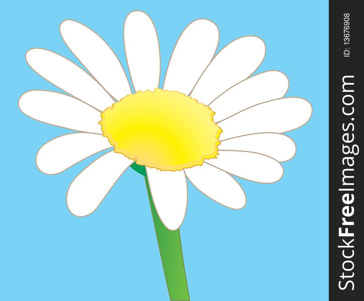 This is a illustration of a beautiful springtime daisy in full bloom. The background can be deleted or changed. This is a illustration of a beautiful springtime daisy in full bloom. The background can be deleted or changed.