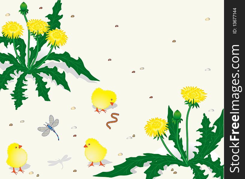 Chickens And Dandelions