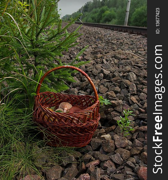 Basket with mushrooms near the railway