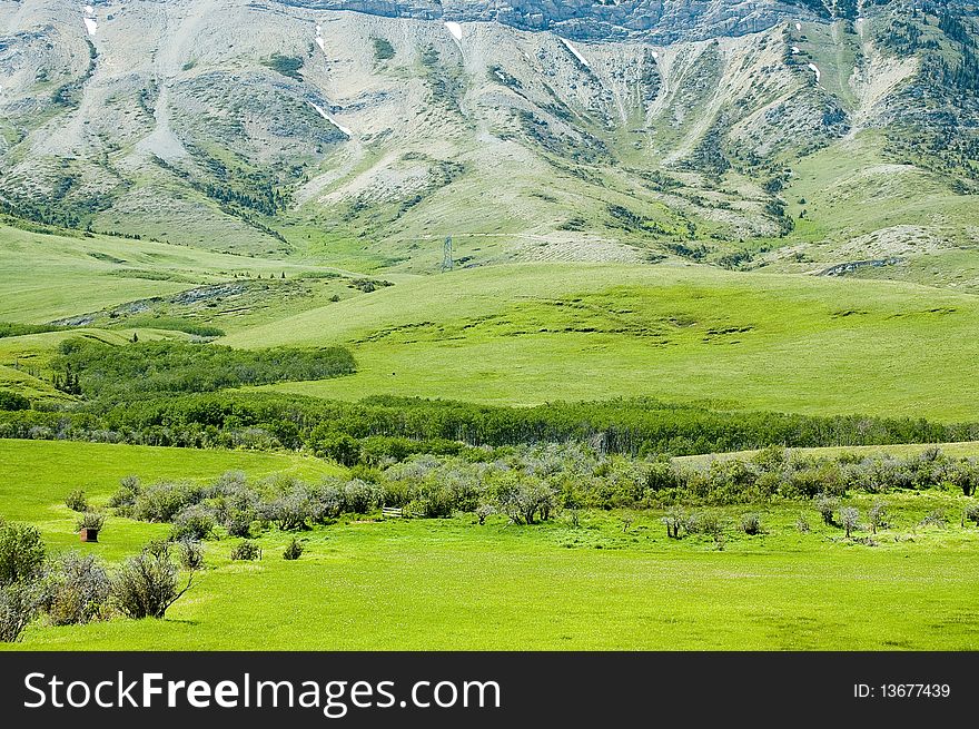 Green sunny open alpine pasture with small brushes and trees , rising to steep mountain slopes. Green sunny open alpine pasture with small brushes and trees , rising to steep mountain slopes.