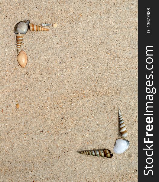 Picture of seashells decoration on sand background frame. Picture of seashells decoration on sand background frame