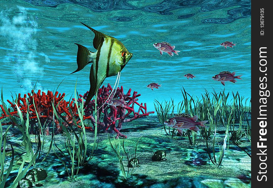 Scene of fish on background coral