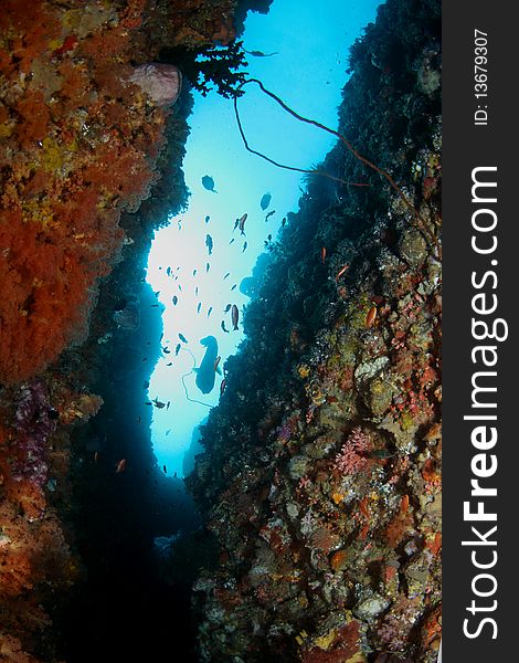 An underwater cave sceneries at Hukurila Beach, Ambon, Indonesia...about 30-40 meters depth