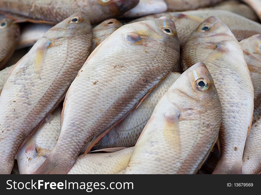 Fish in wet market