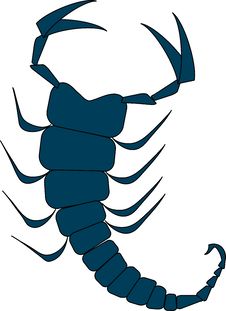 Scorpion Royalty Free Stock Photo Scorpion Royalty Free Stock Photo