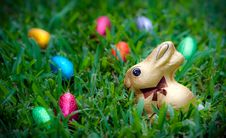 Chocolate Bunny And Eggs Stock Photography Chocolate Bunny And Eggs Stock Photography