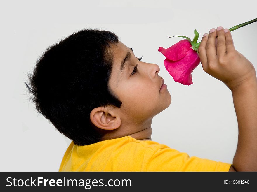 Handsome indian kid holding flower for valentine