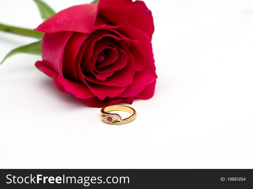 Rose and ring concept of love and engagement. Rose and ring concept of love and engagement