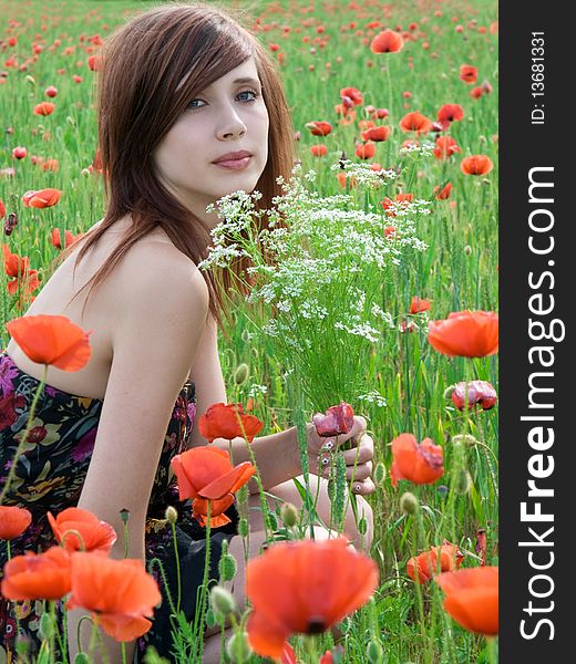 Beautiful girl with long hair posing at poppy meadow. Beautiful girl with long hair posing at poppy meadow