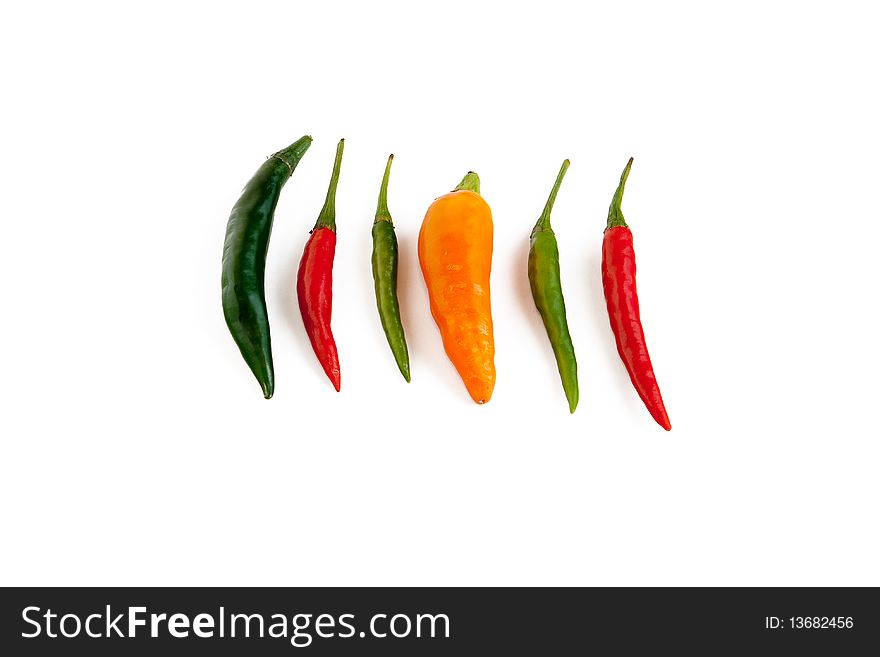 Pods of hot pepper of different colors. Pods of hot pepper of different colors
