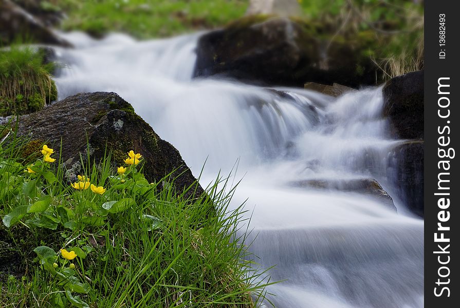 The cascade of the mountain river and yellow flowers